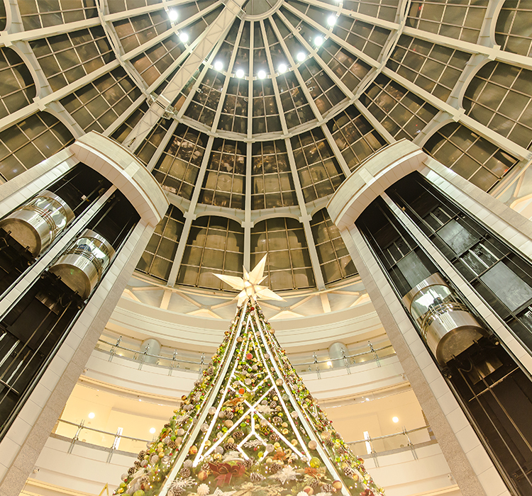 九游棋牌娱乐app